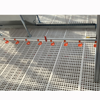 Farms Nipple Drinking System For Chicks / Poultry / Breeder / Broiler / Chicken China